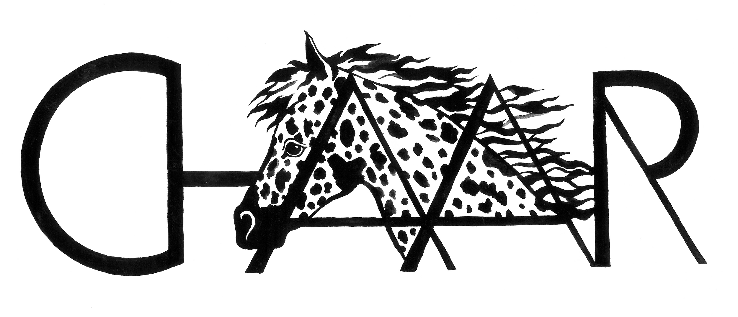 Chaar Appaloosa