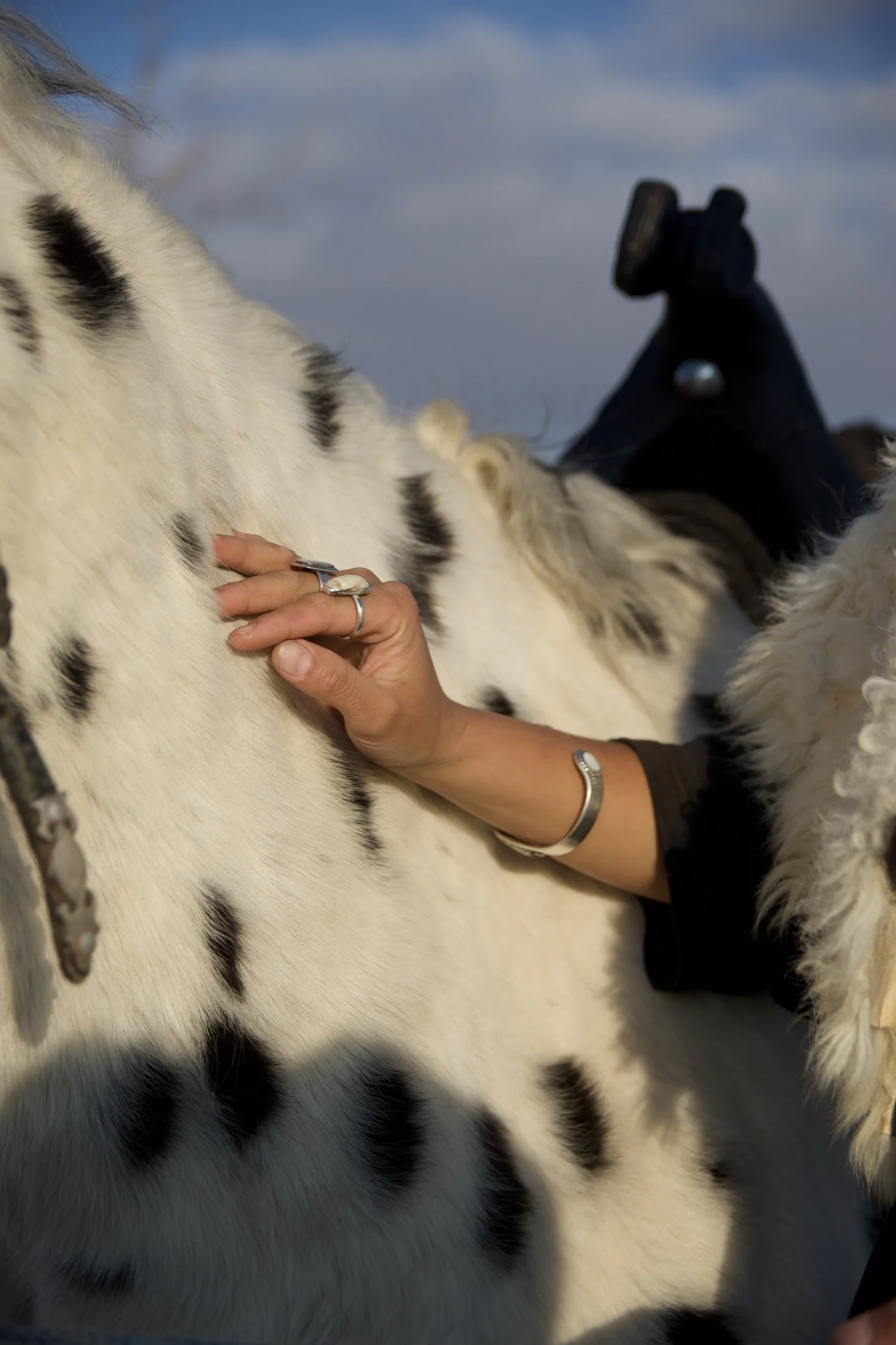 Close detail of Chaar Suluu's spotted coat