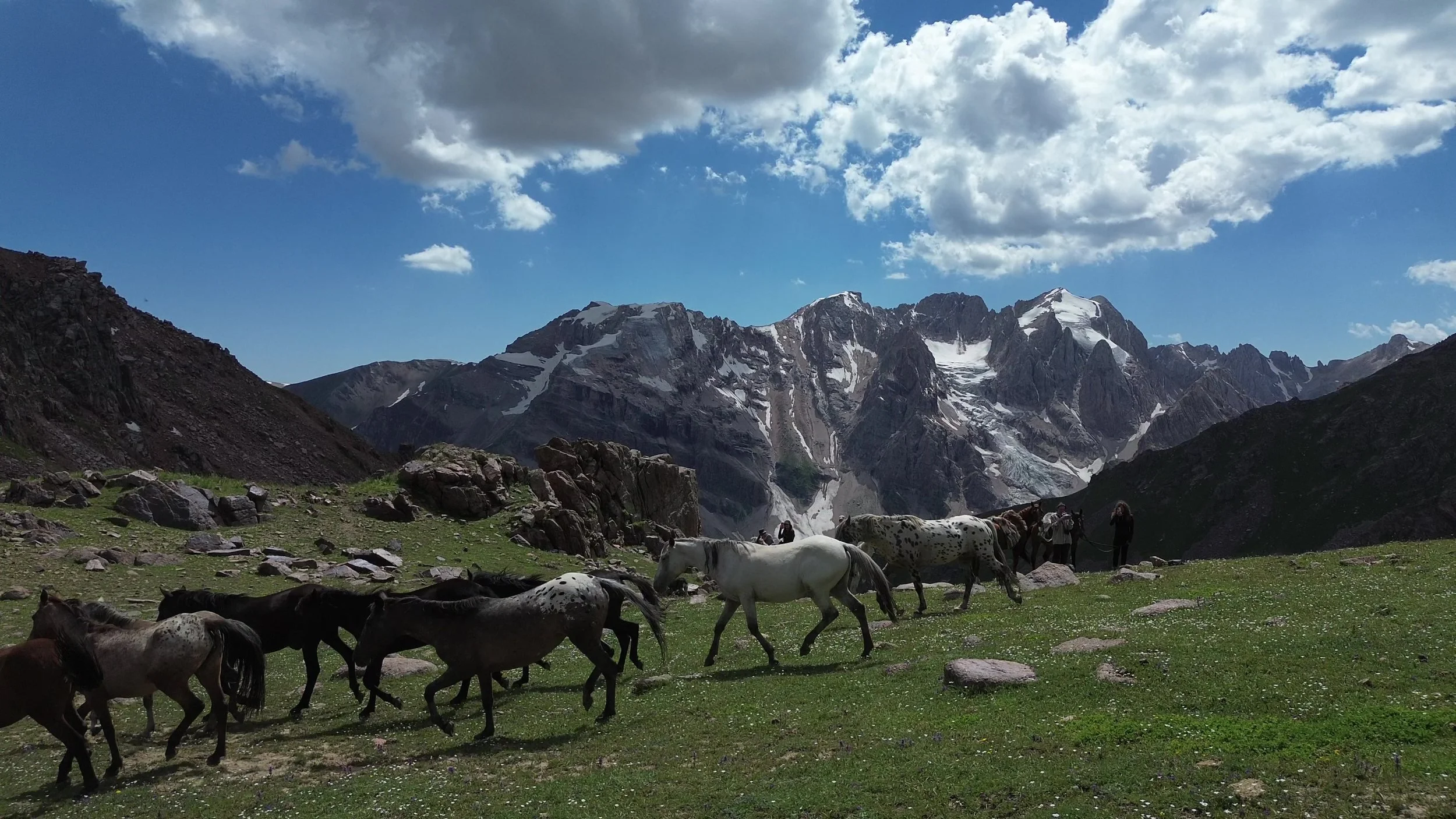 A Chaar herd walking past a glacier peak on a high summer pasture, seen from a drone