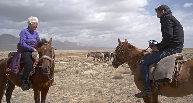 Rider on a Chaar horse along a mountain ridge