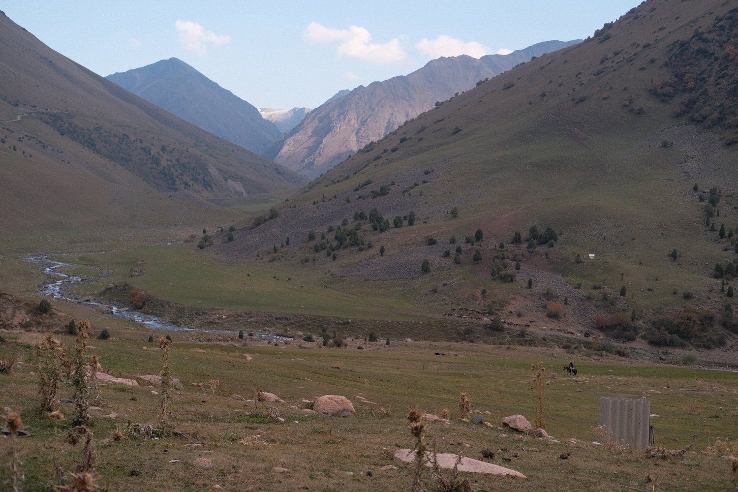 A river winding through a wide mountain valley