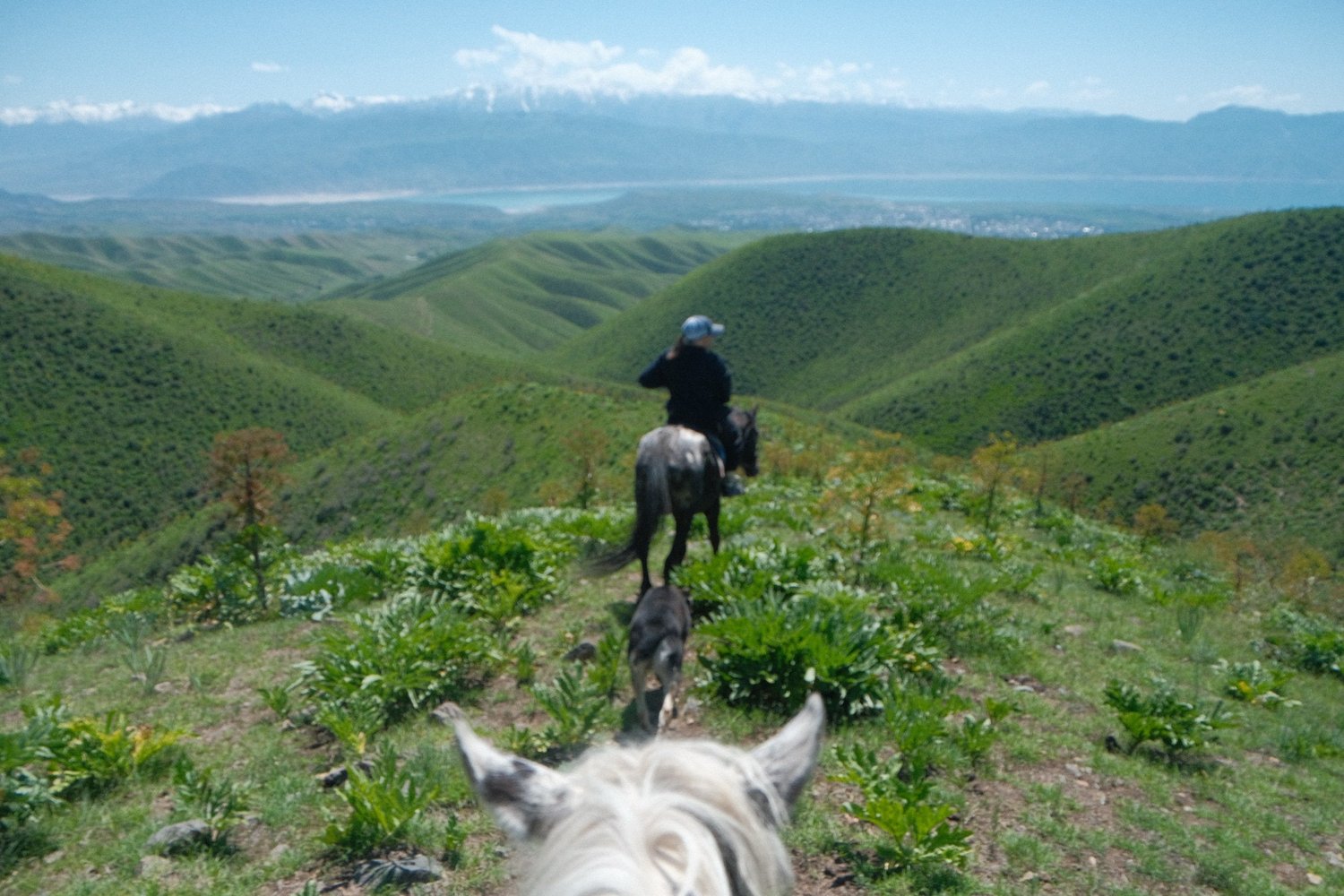 Riding out between a white horse's ears, following another rider into the hills