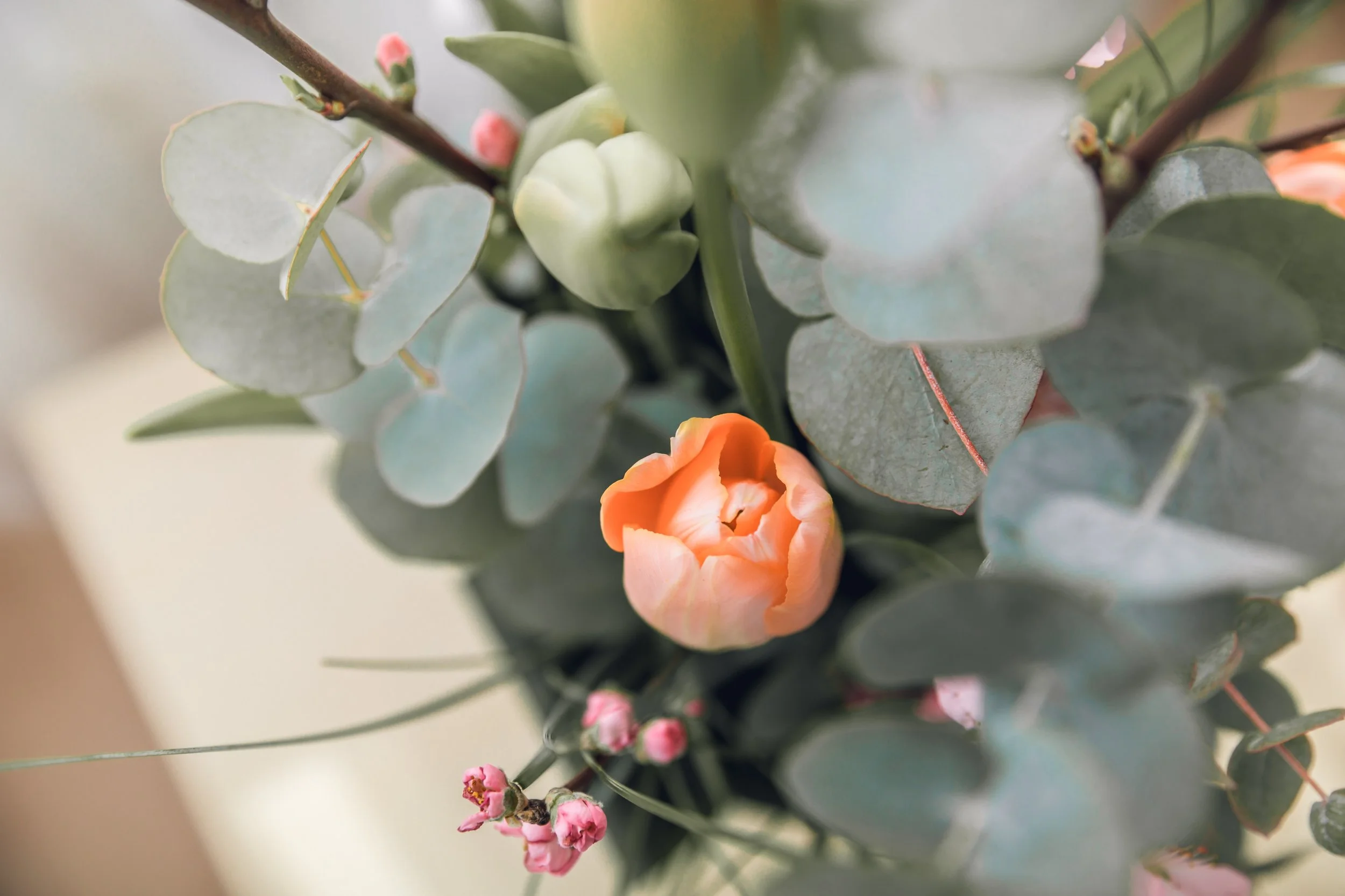 LGBTQ+ adult finding grounding and support through affirming therapy in Richmond, VA