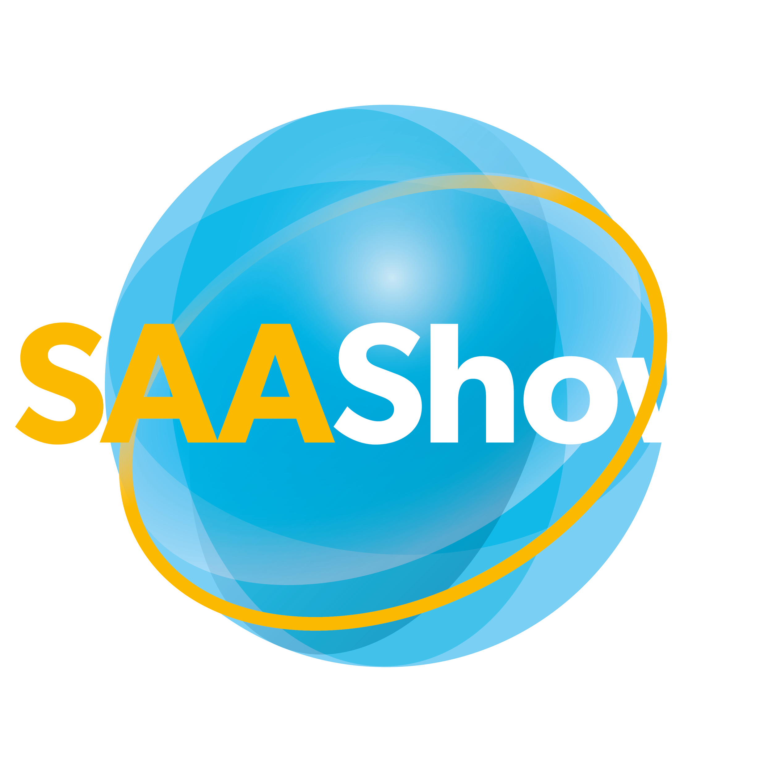 Schools and Academies Show London reverse logo