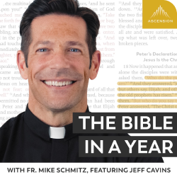Bible in a Year Podcast