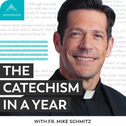 Catechism in a Year Podcast