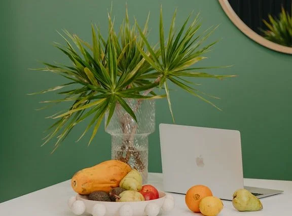 Dietician role at The Good Joint, Mermaid Beach Gold Coast