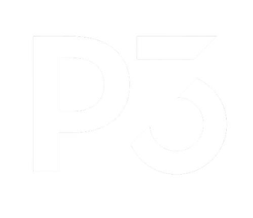 P3