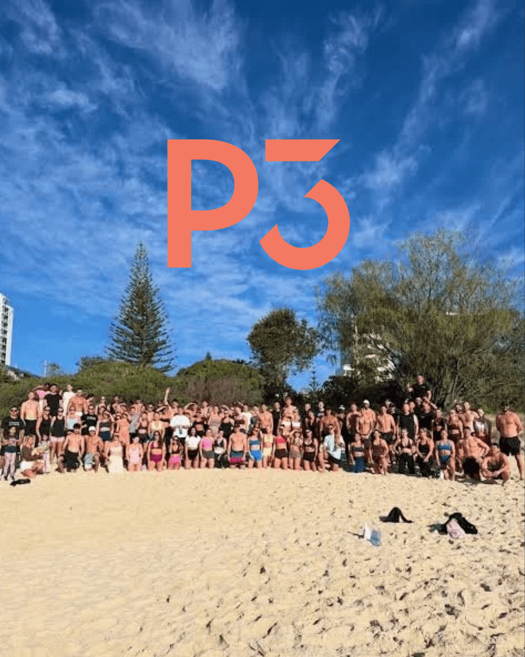 P3 Pulse