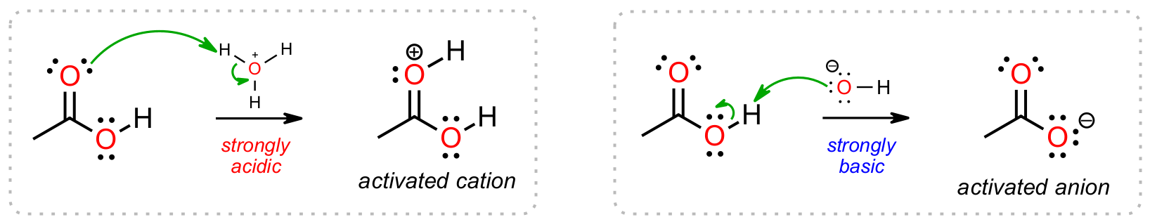 Activation of a carbonyl under strongly acidic and strongly basic conditions