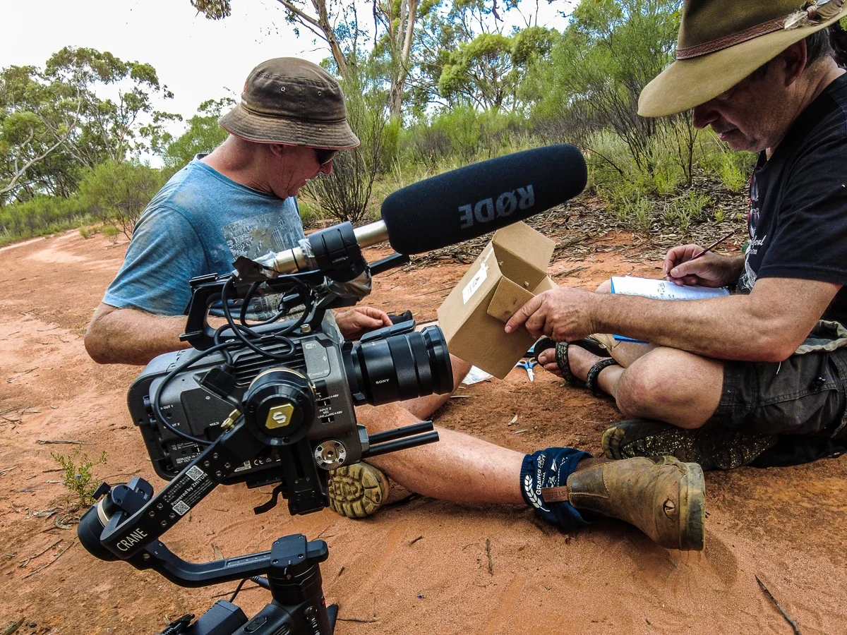 Aerial view of mallee landscape