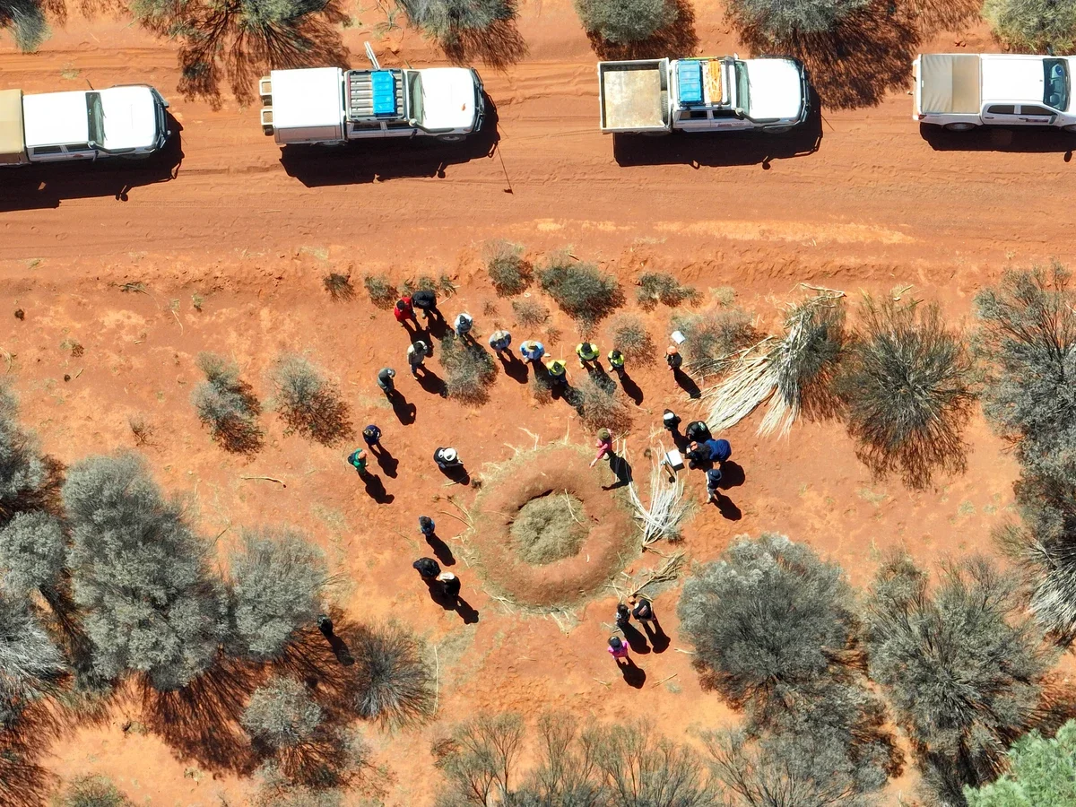 Aerial view of a mound during training with the volunteers