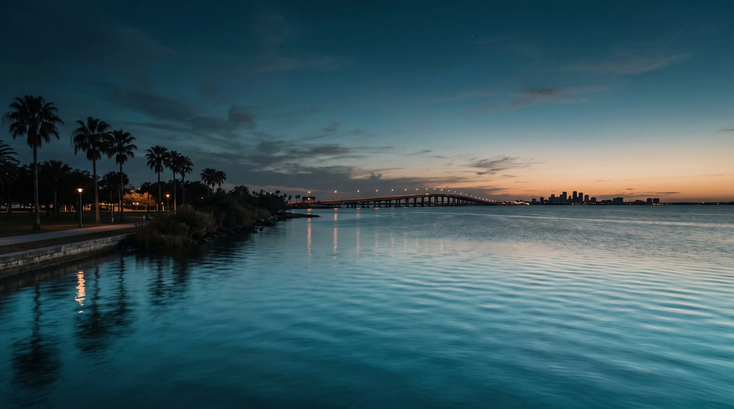Tampa, FL skyline