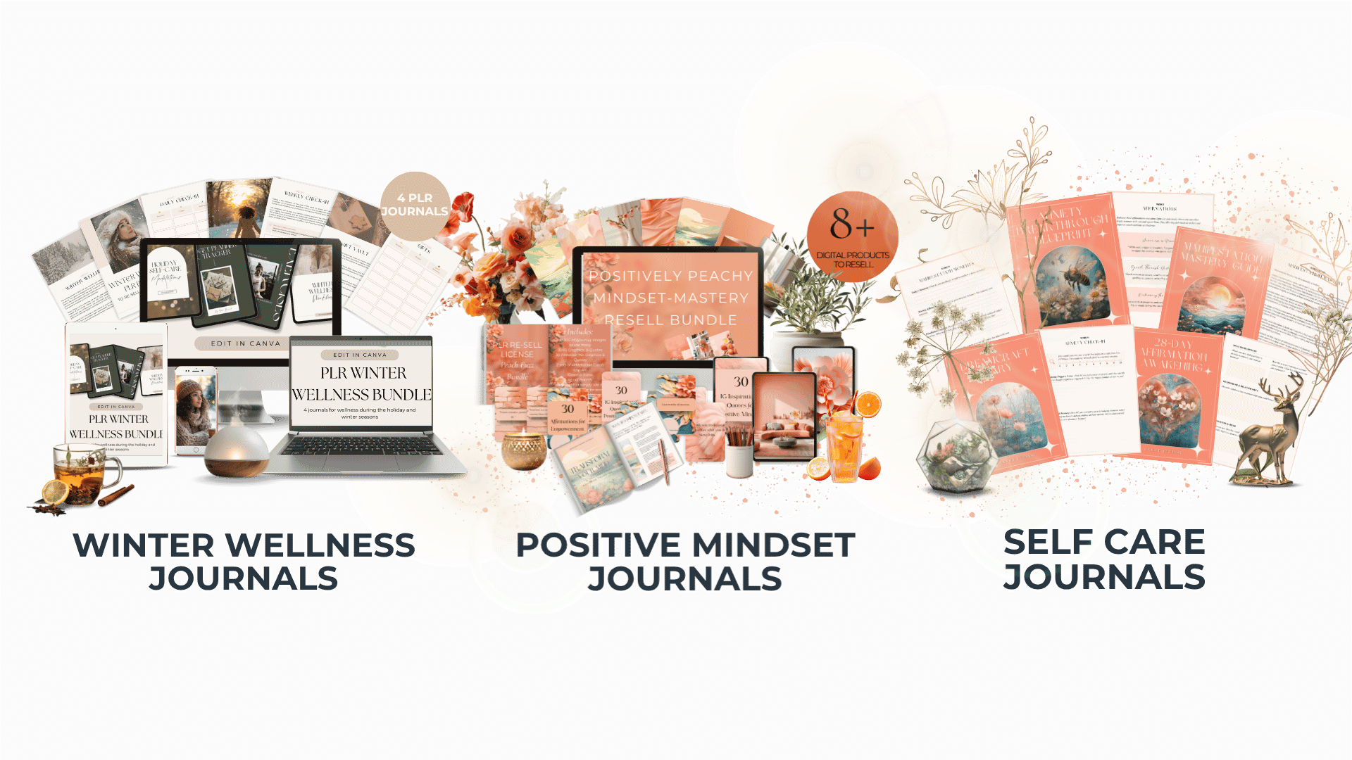 Journals and workbooks preview