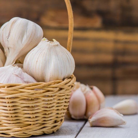 Music Garlic
