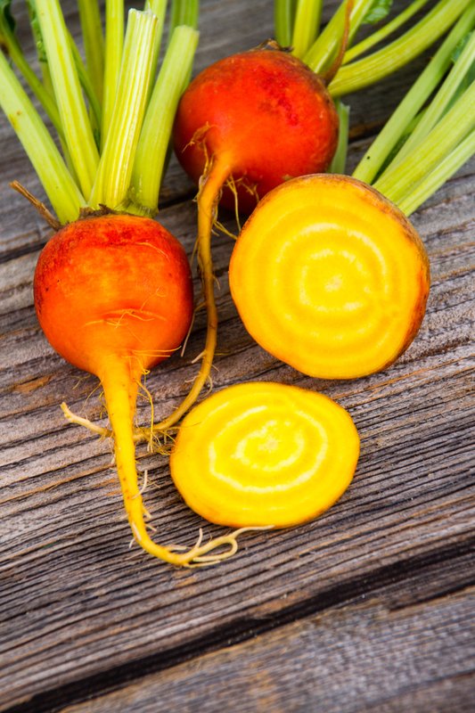 Golden Beet