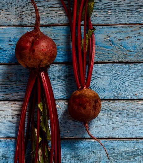 Bull's Blood Beet