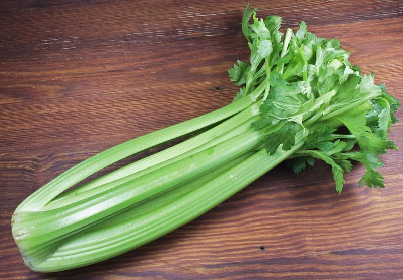 Celery
