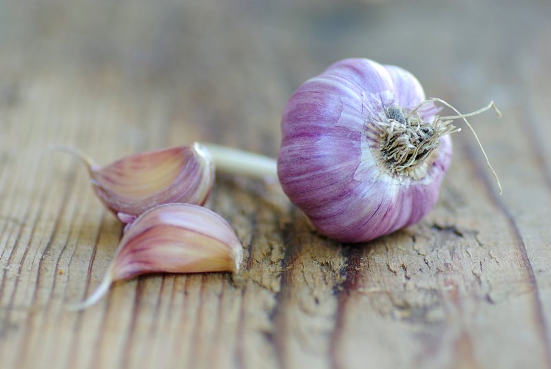 Chesnok Red Garlic