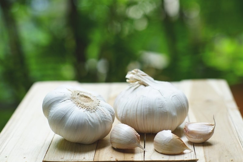California Late Garlic