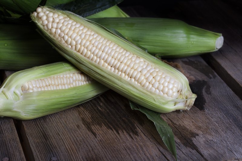 Silver Queen Corn