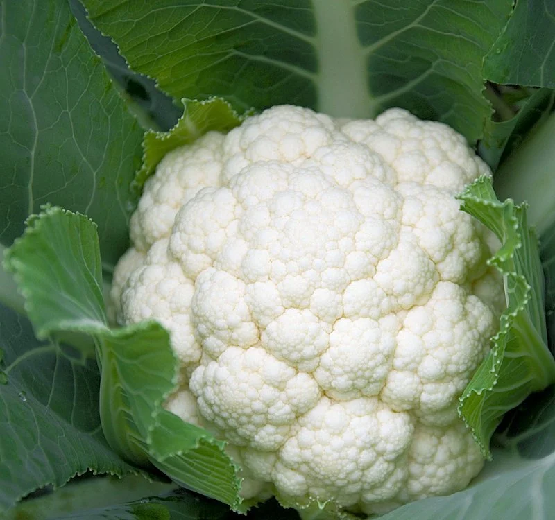 Cauliflower