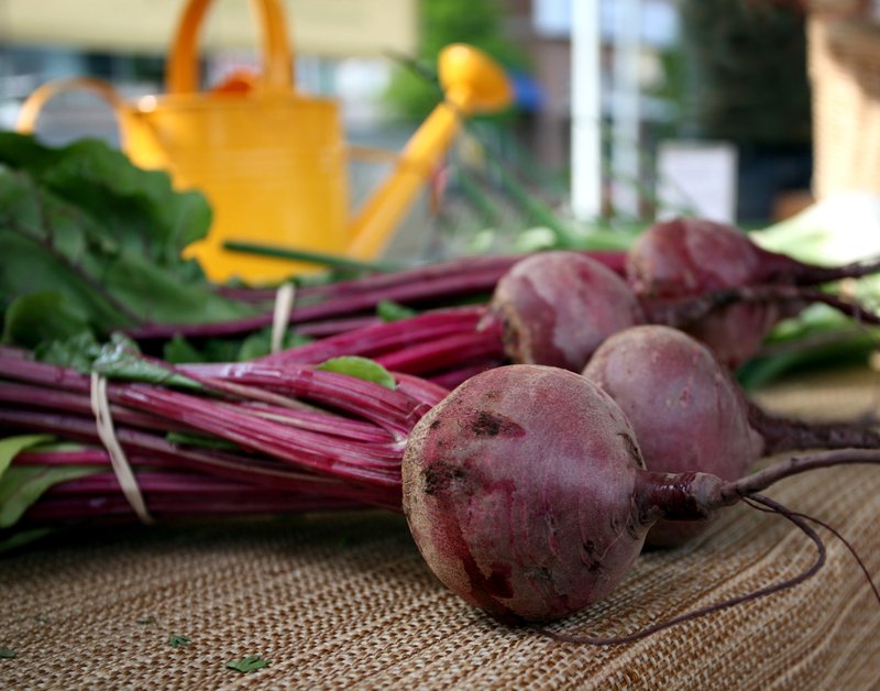 Detroit Dark Red Beet