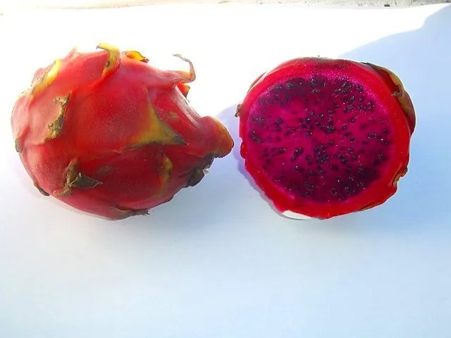 Red-fleshed dragon fruit (Hylocereus costaricensis)