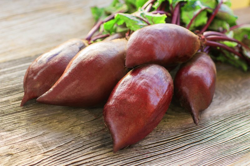 Cylindra Beet