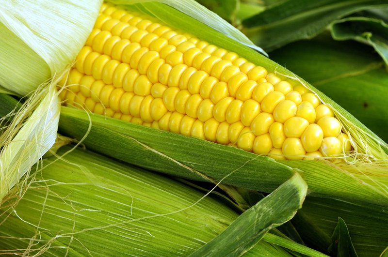 Golden Bantam Corn