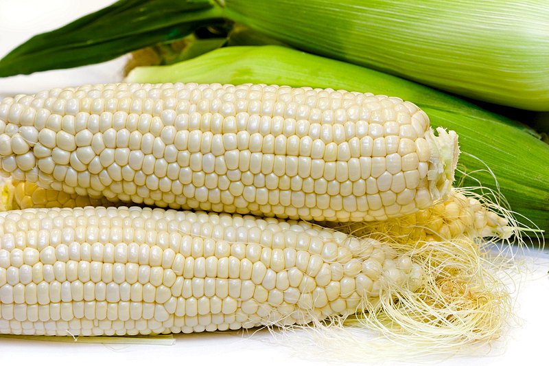 Country Gentleman Corn