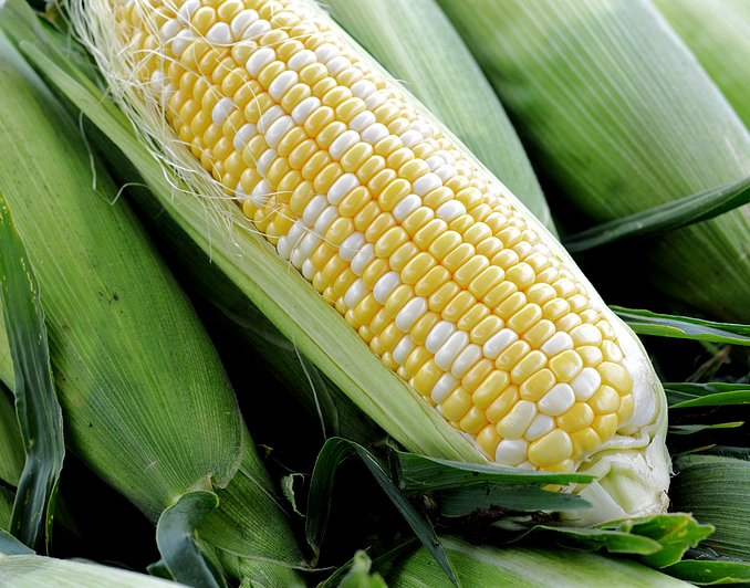Peaches and Cream Corn