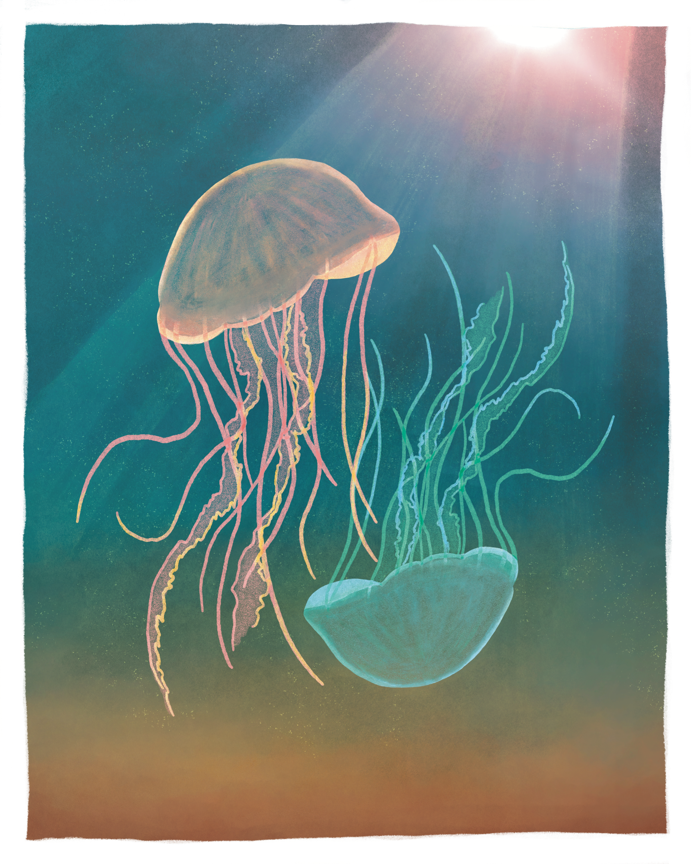 Graphic 32
