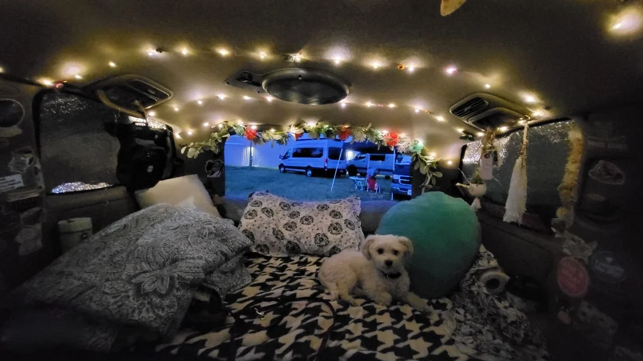 Inside Catina's converted Toyota Sienna at night with her dog Henry on the bed platform