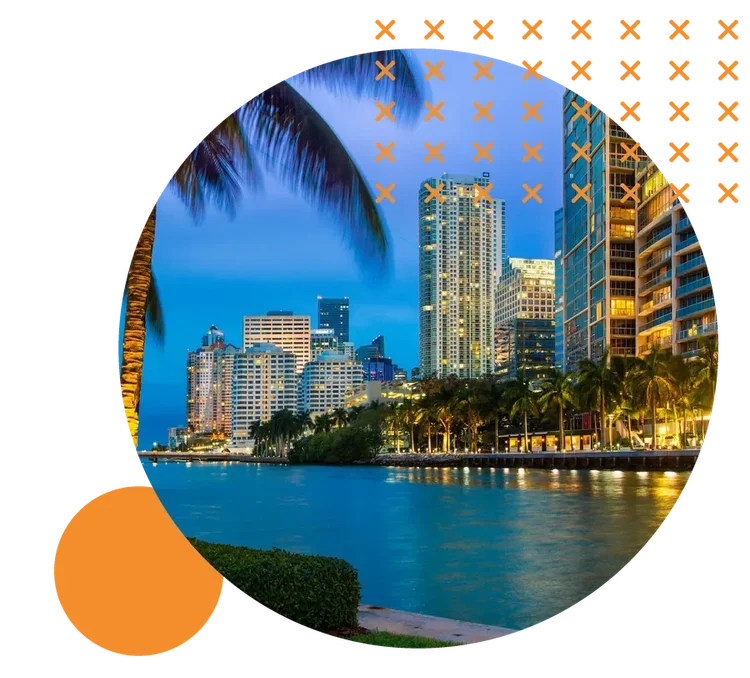 Palm trees and lit high-rise towers along the Miami waterfront at dusk