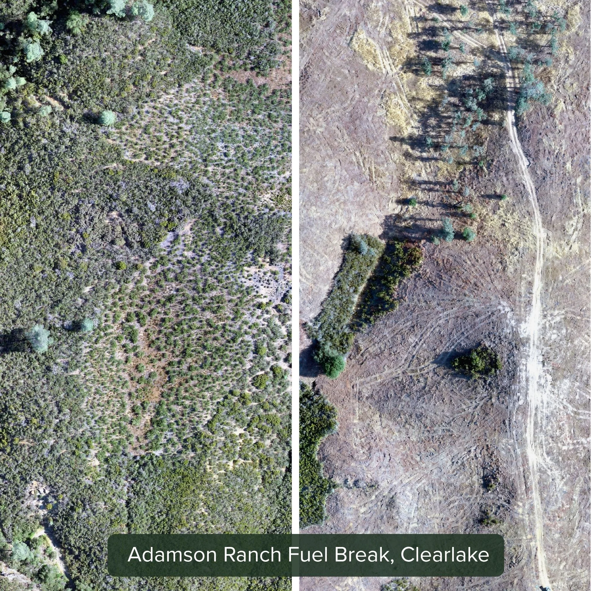 Adamson Ranch Fuel Break