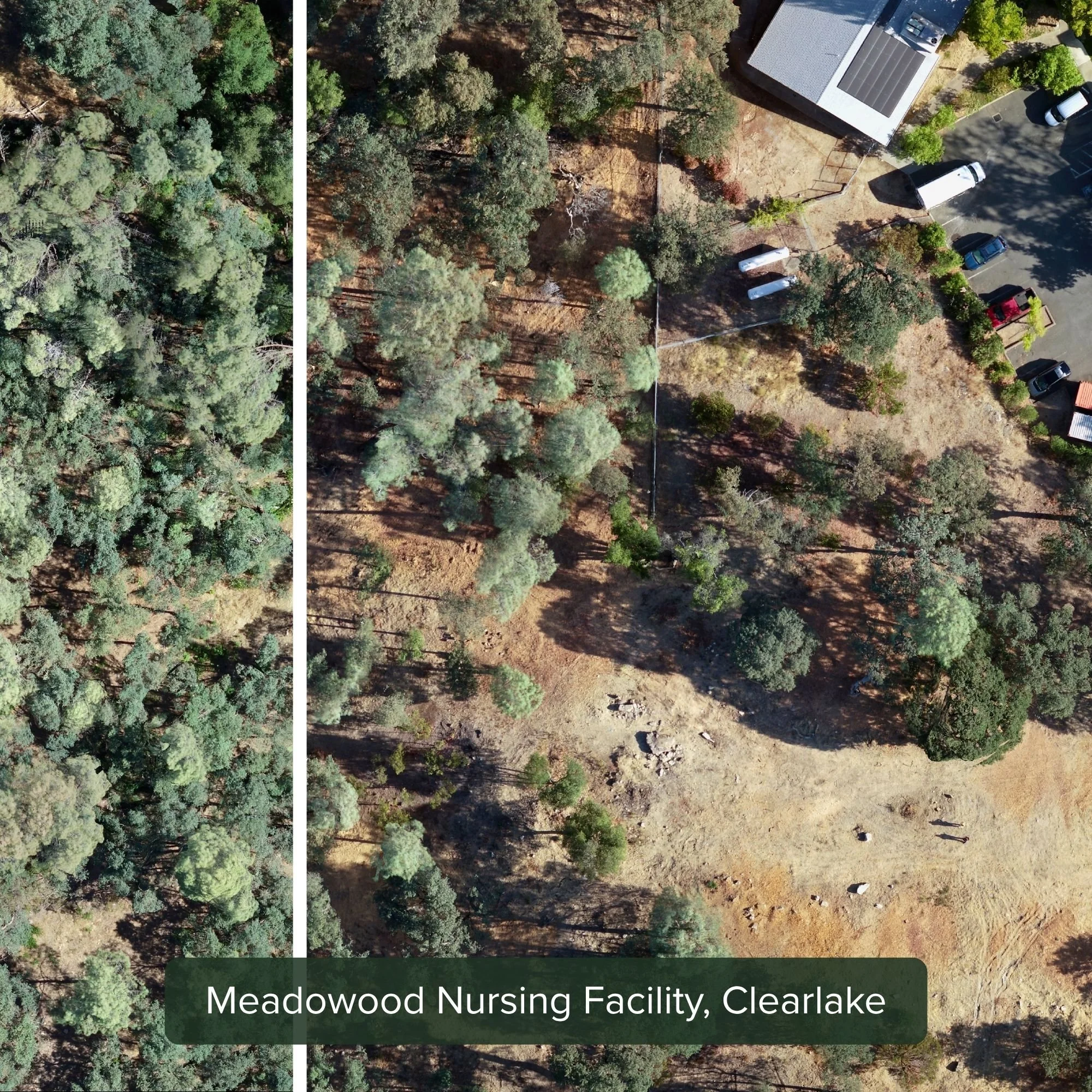 Meadowood Nursing Facility defensible space