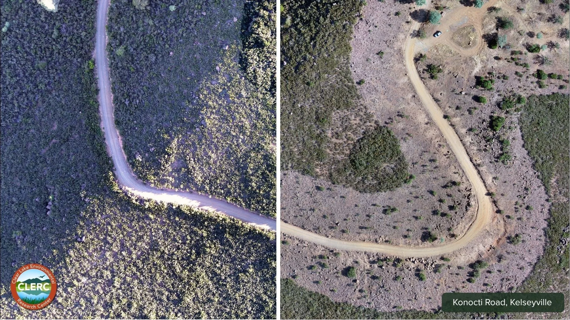 Konocti Road before and after defensible space work