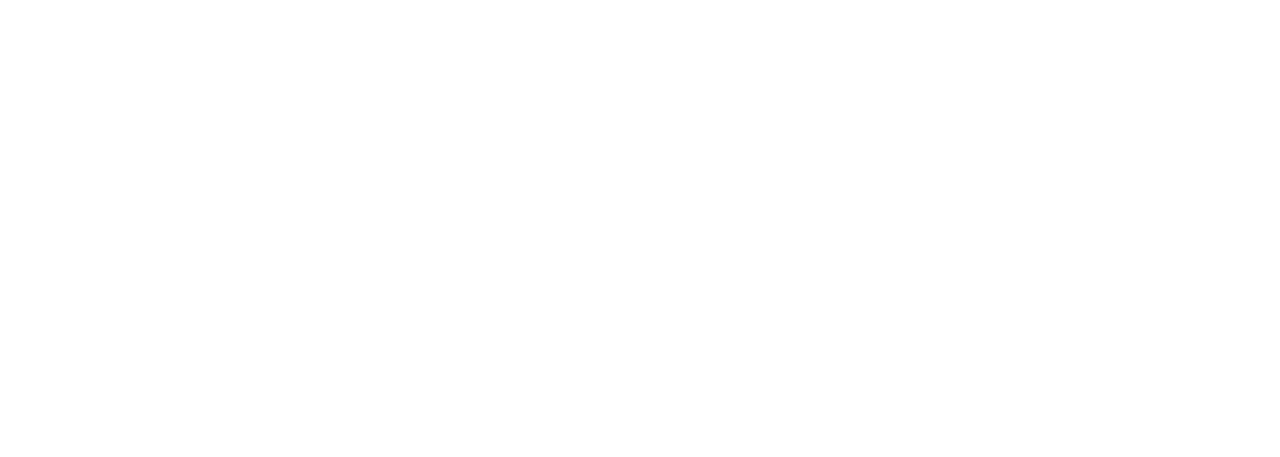 Cambridge Cognitive Architecture
