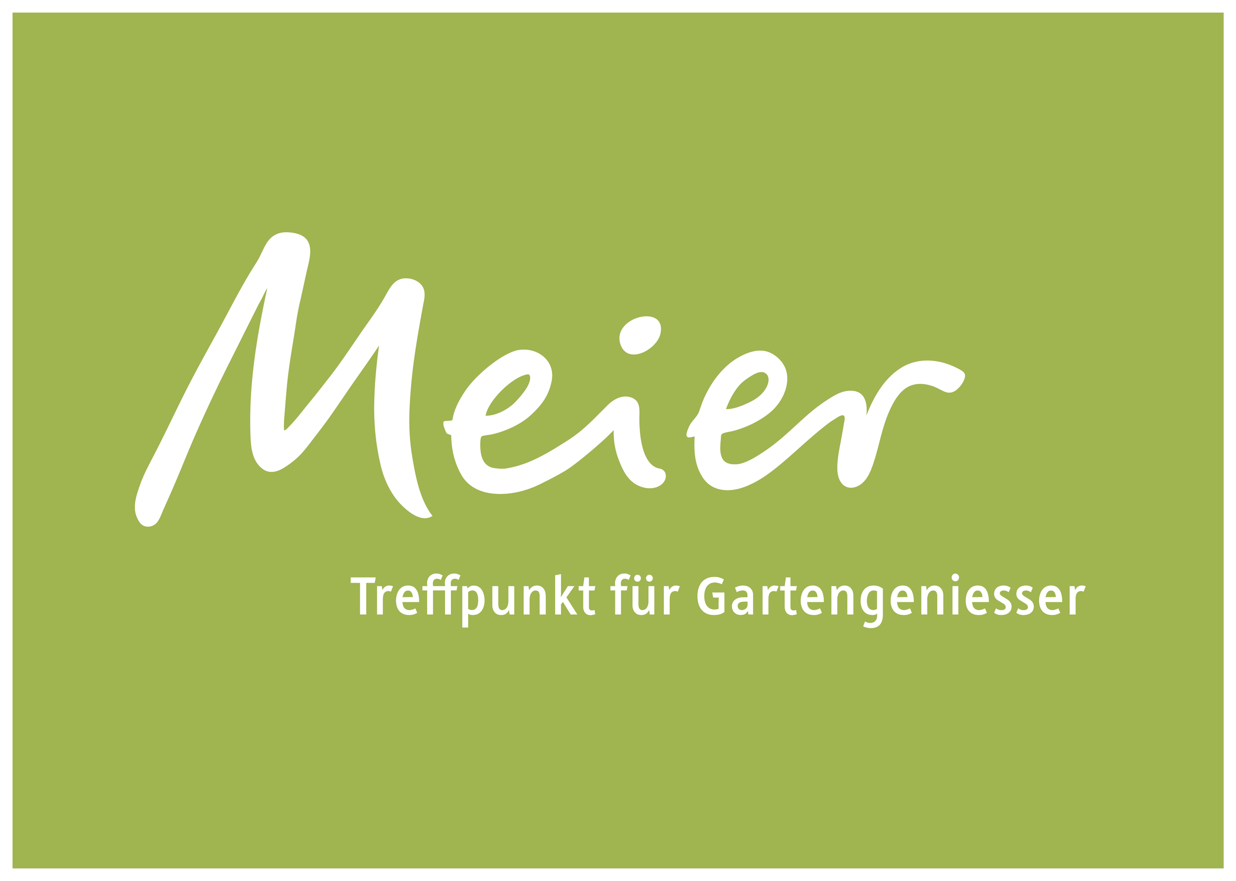 Meier