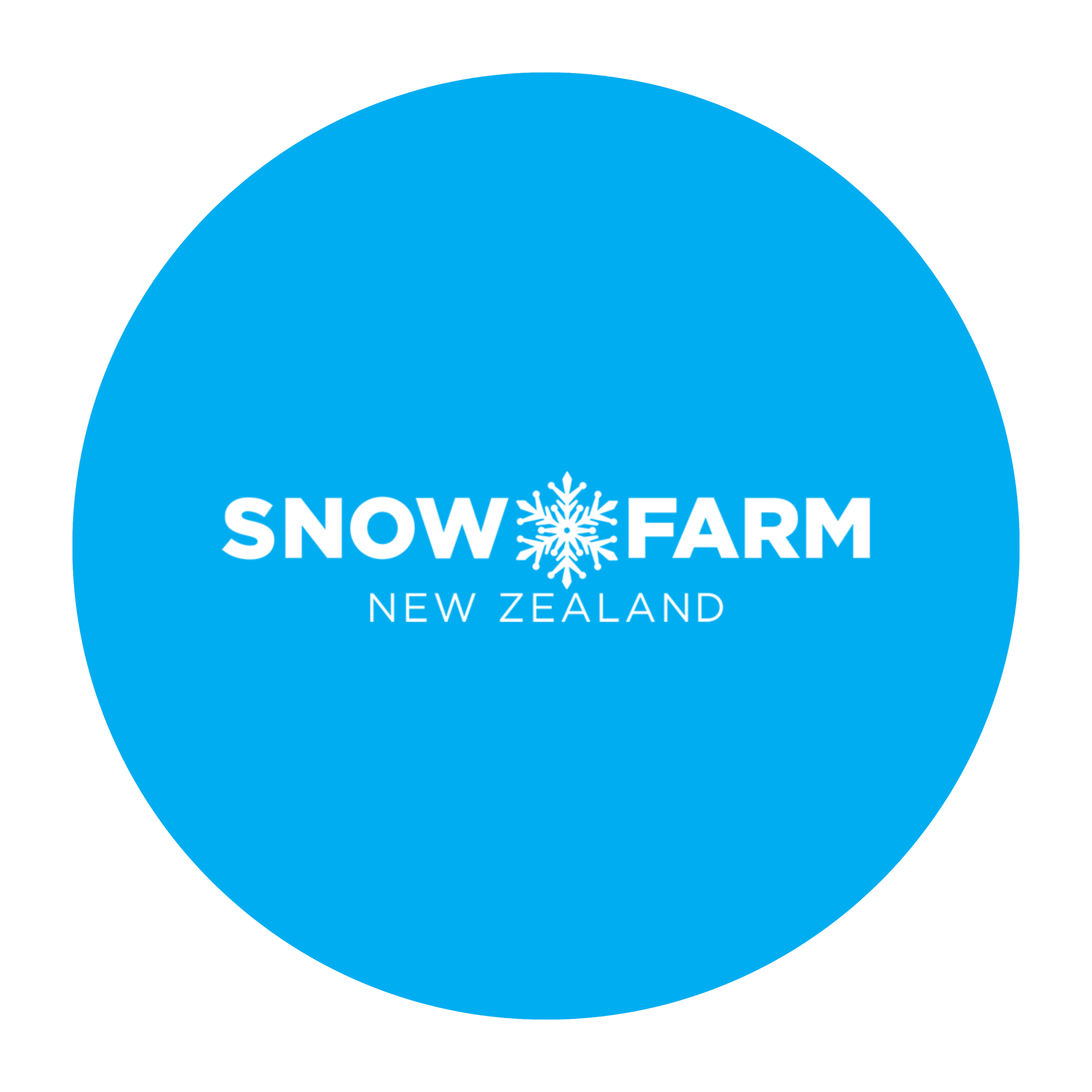 Logo 4