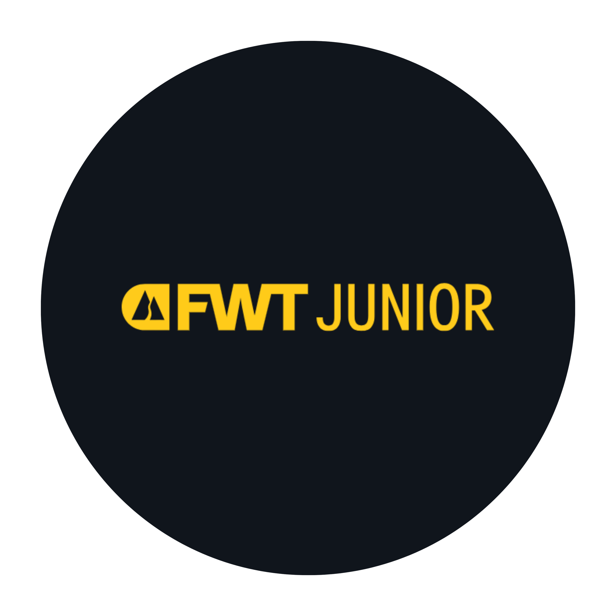 Logo 12
