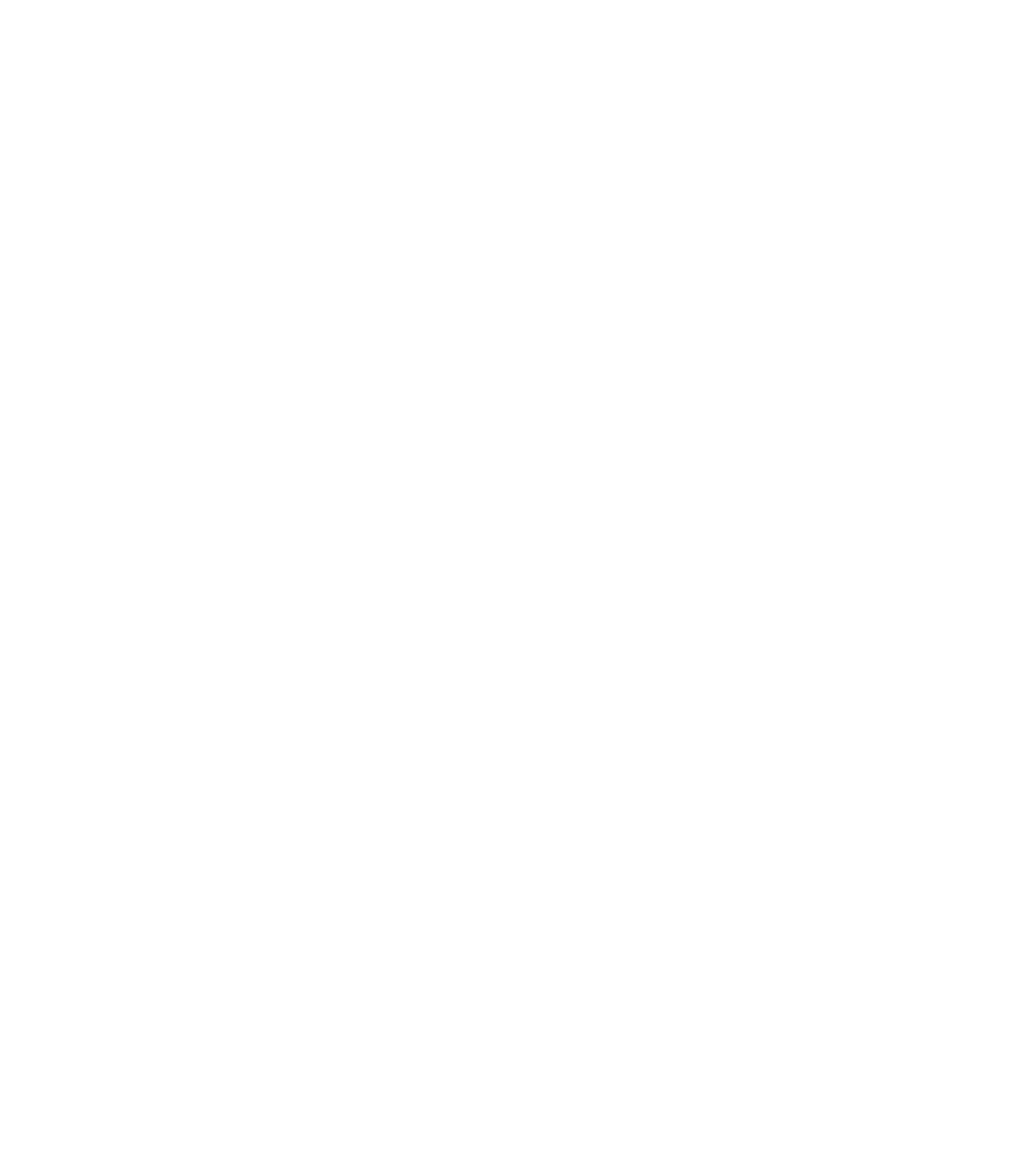 NY State World Cup Watch Experience