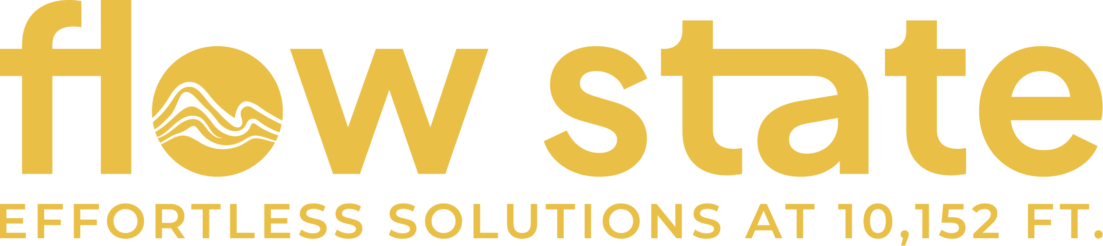 Flow State logo