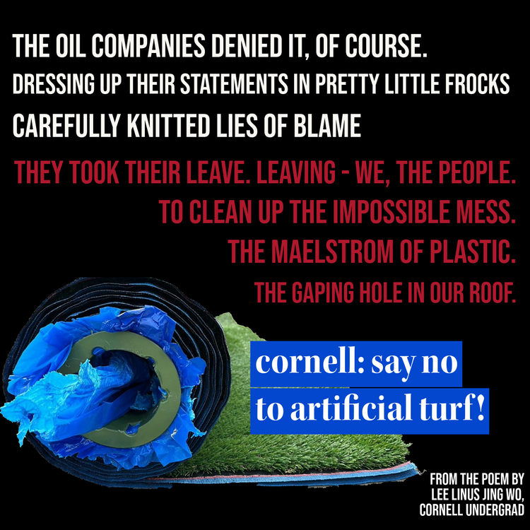 Say no to artificial turf