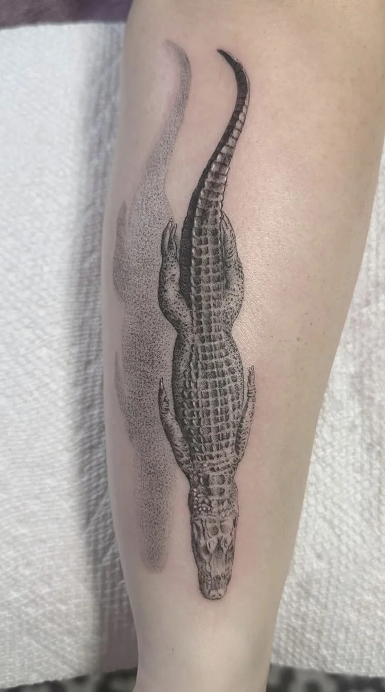 Gator in the Current fine-line tattoo