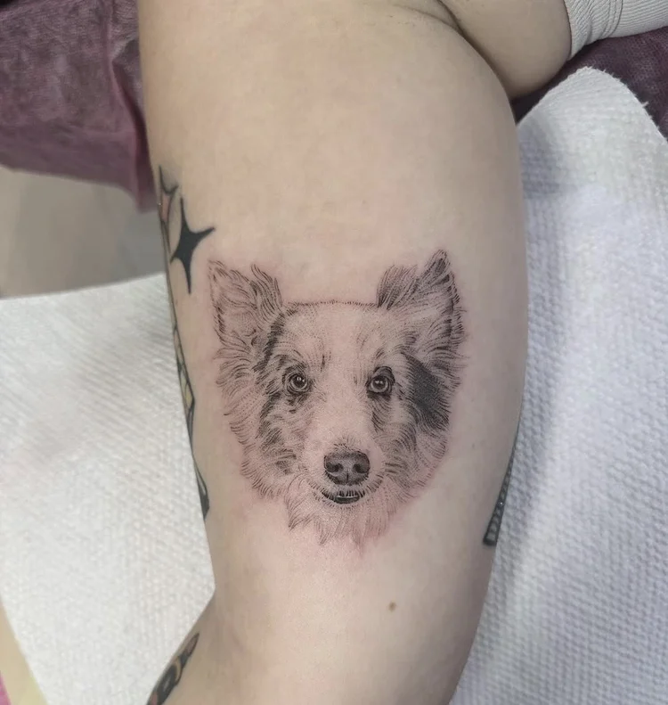 Collie Portrait fine-line tattoo