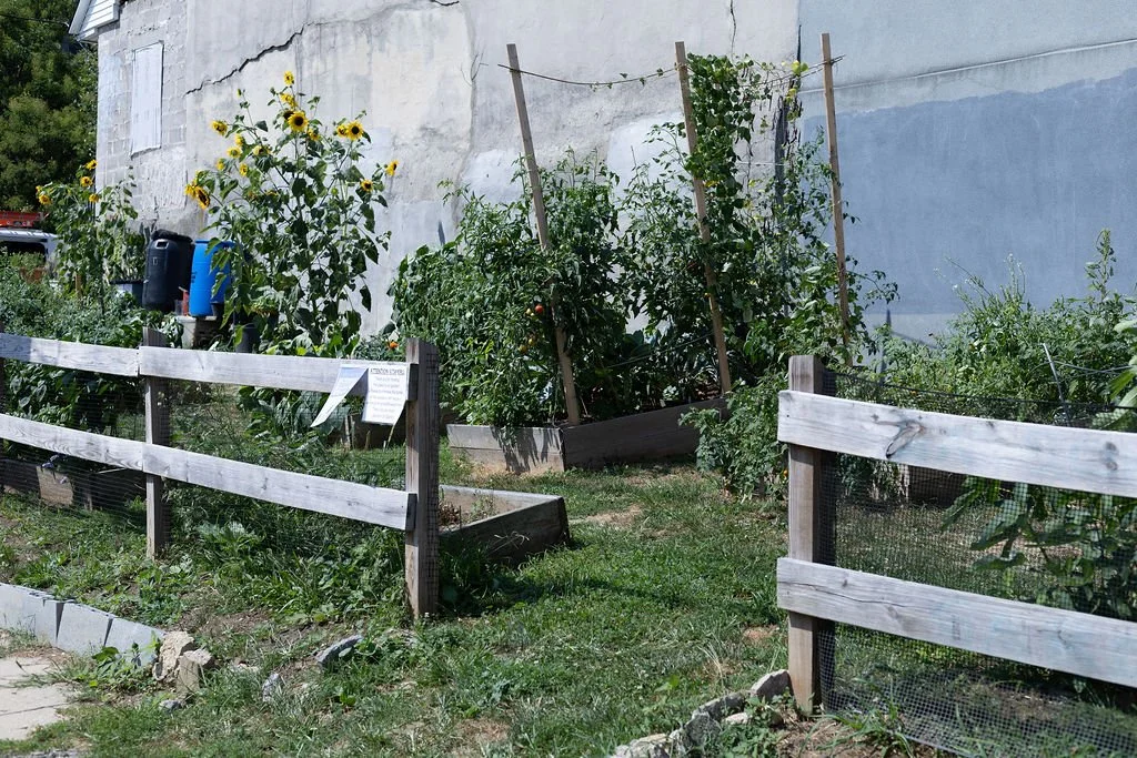 Sansom Street Garden