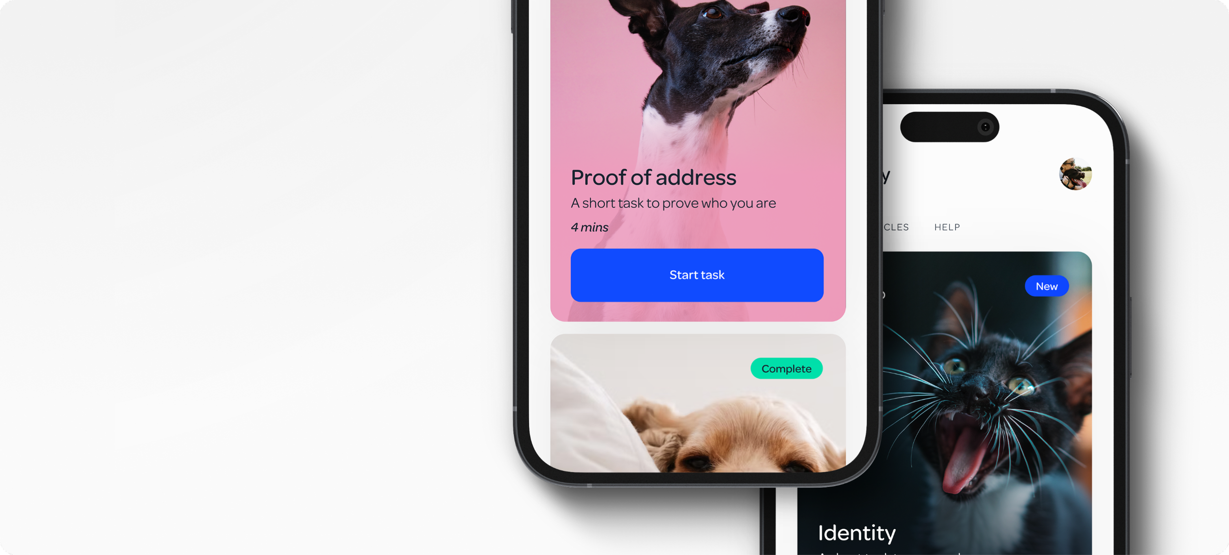 PetProov double app preview