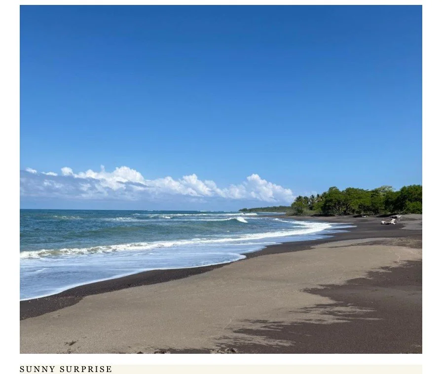 Sunny Nosara beach